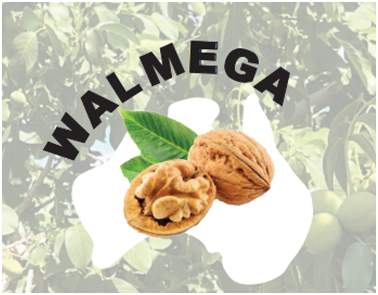 WALNUT MILK